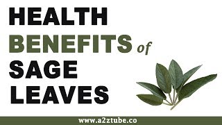 Health Benefits of Sage Leaves