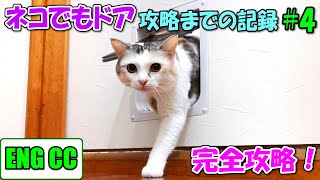 猫達が専用扉ネコでもドアを攻略するまでの記録＃4　引戸問題ついに解決！