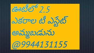 ఊటీలో 2.5 ఎకరాల టీ ఎస్టేట్ అమ్మబడును@9944131155