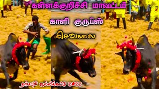 கள்ளக்குறிச்சி மாவட்டம் TN-15 🔥 காளி குருப்ஸ் 🔥 செவலை | kallakurichi jallikattu | காளையே தெய்வம்