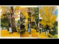 AUTUMN/FALL SEASON | JAPAN | 2019 |