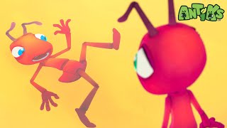 Ant Gets FLATTENED! | Antiks 🐜 | Action Cartoons For Kids