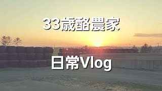 33歳酪農家日常Vlog