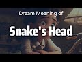 Snake'S Head Dream Meaning & Symbolism | Interpretation Psychology