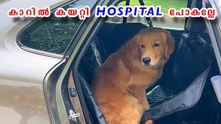 DOG നെ ആദ്യം കാറിൽ കയറ്റി ആശുപത്രിയിൽ പോകല്ലേ ⚠️ How to Ease Your Dog’s Fear of Cars