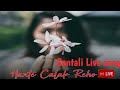 Hante Chalak Reho SANTALI(slowed & reverb)Lofi Song#santalilofisong #viral //BijoyBabuOfficial