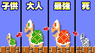 ノコノコが成長し死ぬまでの物語凄すぎるｗ【マリオメーカー2】