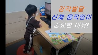 발란스훈련을 통해 고유수용성 감각, 전정감각에 자극을!!