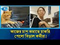 অফিসের কর্মীদের কাজের চাপ কমাতে বিড়াল নিয়োগ | Cat at Workplace | Rtv News