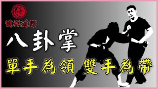 八卦掌：領手掌 技擊應用【傳武概念講堂】_形意拳八卦掌_健棋道館