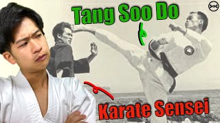 Japanese Karate Sensei Reacts To Tang Soo Do For The FIRST Time!