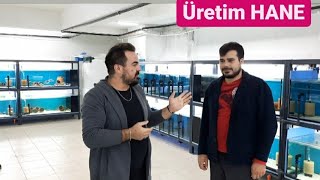 Üretim Hane Gezimiz !!!  FSF Akvaryum