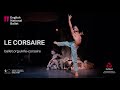 le corsaire odalisque with shiori kase extract english national ballet