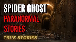 13 True Paranormal Stories | Spider Ghost | Paranormal M