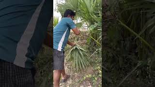 Bhogi celebrations in my village #viral #trending #emotional  #bhogi