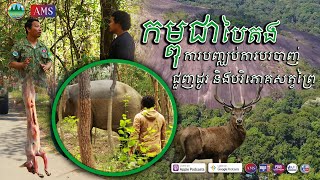 ការបញ្ឈប់ការបរបាញ់ ជួញដូរ និងបរិភោគសត្វព្រៃ