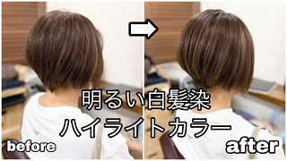 【白髪染めハイライトカラー・ベリーショートボブ・Hair dye highlighting very short bob】サロン探してる方・喜んでいただける仕上がりを提供します＾＾