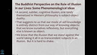 Cognitive Illusion and Immediate Experience: Perspectives from Buddhist Philosophy | Jay Garfiled