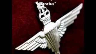Parachute Regiment Tribute 2013