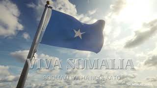 VIVA SOMALIA. SOOMAALIYA HA NOOLAATO