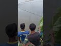 Amazing Two Boys catching huge big fish with hook trap in Beel water #catch_fish #hook_fishing