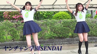 ヤンチャン学園SENDAI　一ノ瀬美乃 ラストライブ 『 仙臺横丁フェス 2023 』in 勾当台公園市民広場 仙台 2023.5.28