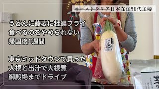 音声入り【50代主婦：日本暮らし 】初詣/食欲がとまらない・大根煮・御殿場へドライブ/Life in Tokyo