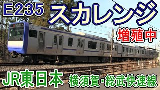 【スカレンジ】 JR東日本 E235系 1000番台 増殖中！ (横須賀線 総武快速線) E217系を置き換え 電子レンジの量産 【スカ色】