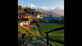 Australian base camp, kaski pokhara