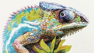 【土人教画】35 彩铅画-变色龙 terrain art class-pencil crayons-chameleon