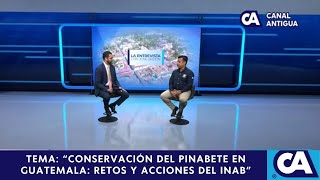 Tema: “Conservación del Pinabete en Guatemala: Retos y Acciones del INAB”