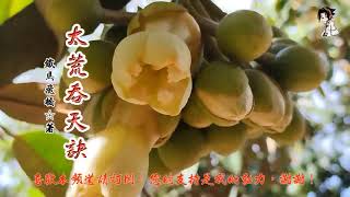 太荒吞天訣 作者：鐵馬飛橋(3332-3333章) (字幕：繁 简)