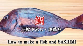 【鯛のおろし方】お造りの引き方　Fillet red sea bream