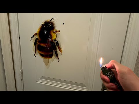 why did I set this BEE on FIRE…
