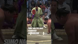 SUMO TERUNOFUJI-SHONANNOUMI ＜NAGOYA DAY8＞　#shorts