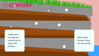 Soil | Rocks | KS2 Science