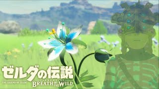 伝説の神ゲー『ゼルダの伝説ブレスオブザワイルド』【BotW】part23