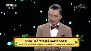 [正大综艺·动物来啦]动物园中猛禽为什么经常攻击饲养员的头部？| CCTV