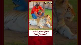 ದುಬೈನಲ್ಲಿ ಹುಲಿ ಜೊತೆ ದರ್ಶನ್ ಪೋಸ್ | Darshan poses with a tiger in Dubai | Vistara News