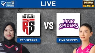 LIVE! RED SPARK VS PINK SPIDER V-LEAGUE 2024 - 2025