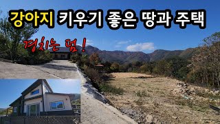 [매물번호 295번] 봉화군 명호면 강아지 키우기 좋은 곳 4010㎡ (1213평) 주택과 토지 | 영주옥토부동산 054.631.6100