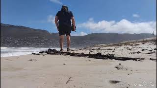 Deserted Clovelly Beach with strong Winds, but warm water.