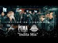 puros exitos de concierto el puma de sinaloa