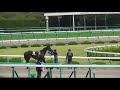 太宰騎手が落馬した馬を優しく誘導。現地映像、阪神競馬場、陽春s