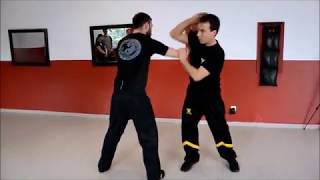 Stage Sifu Martin Dragos 2019