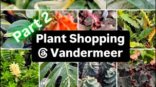 Plant Shopping at Vandermeer Nursery – Hidden Gems \u0026 Greenhouse Tour!