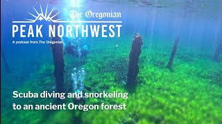 Snorkeling and scuba diving to an ancient Oregon forest