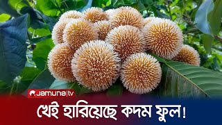 কেটে গেছে শীতের অলসতা, মানুষের মনে বাসন্তী হাওয়া! | Bosonto | Jamuna TV