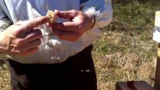 Blue Sky Honey installing a new package of Honeybees