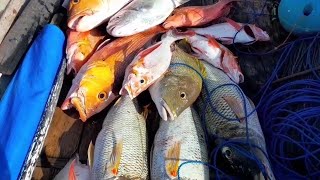 MERAWAI IKAN DI PINGGIRAN || Alhamdulilah strikenya mantap sesuai  target saya